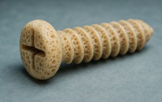Biomimetic Pins and Screws Advancements in Dental Surgery