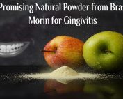 A Promising Natural Powder from Brazil: Morin for Gingivitis