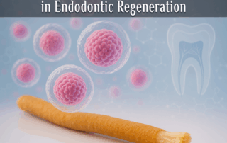 The Role of Miswak BITC Compound in Endodontic Regeneration