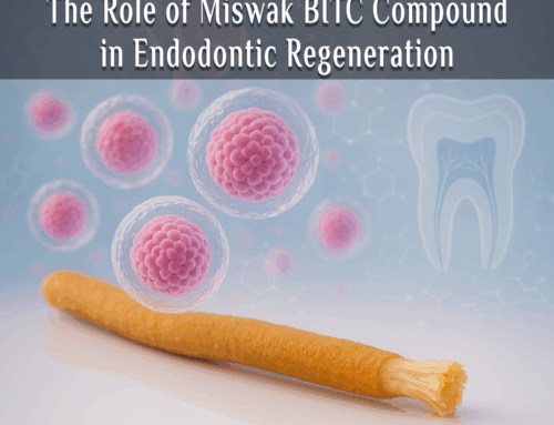 The Role of Miswak BITC Compound in Endodontic Regeneration