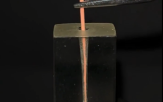 True vs. Pseudo Tug-back in Root Canal Obturation