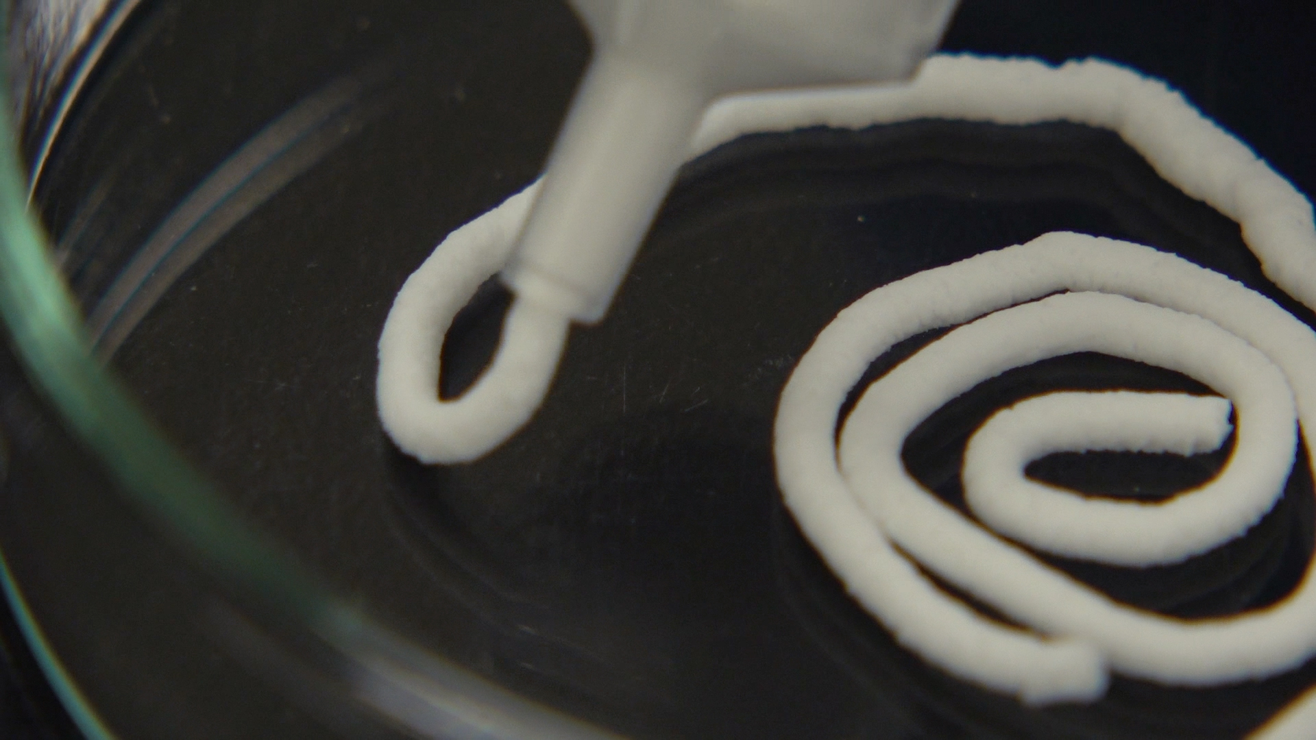 Bone and teeth regeneration has entered a new era with the TRG035