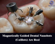 Magnetically Guided Dental Nanobots (CalBots) Are Real
